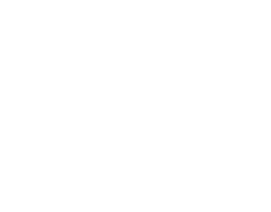 European Satellite Services Provider (ESSP-SAS)